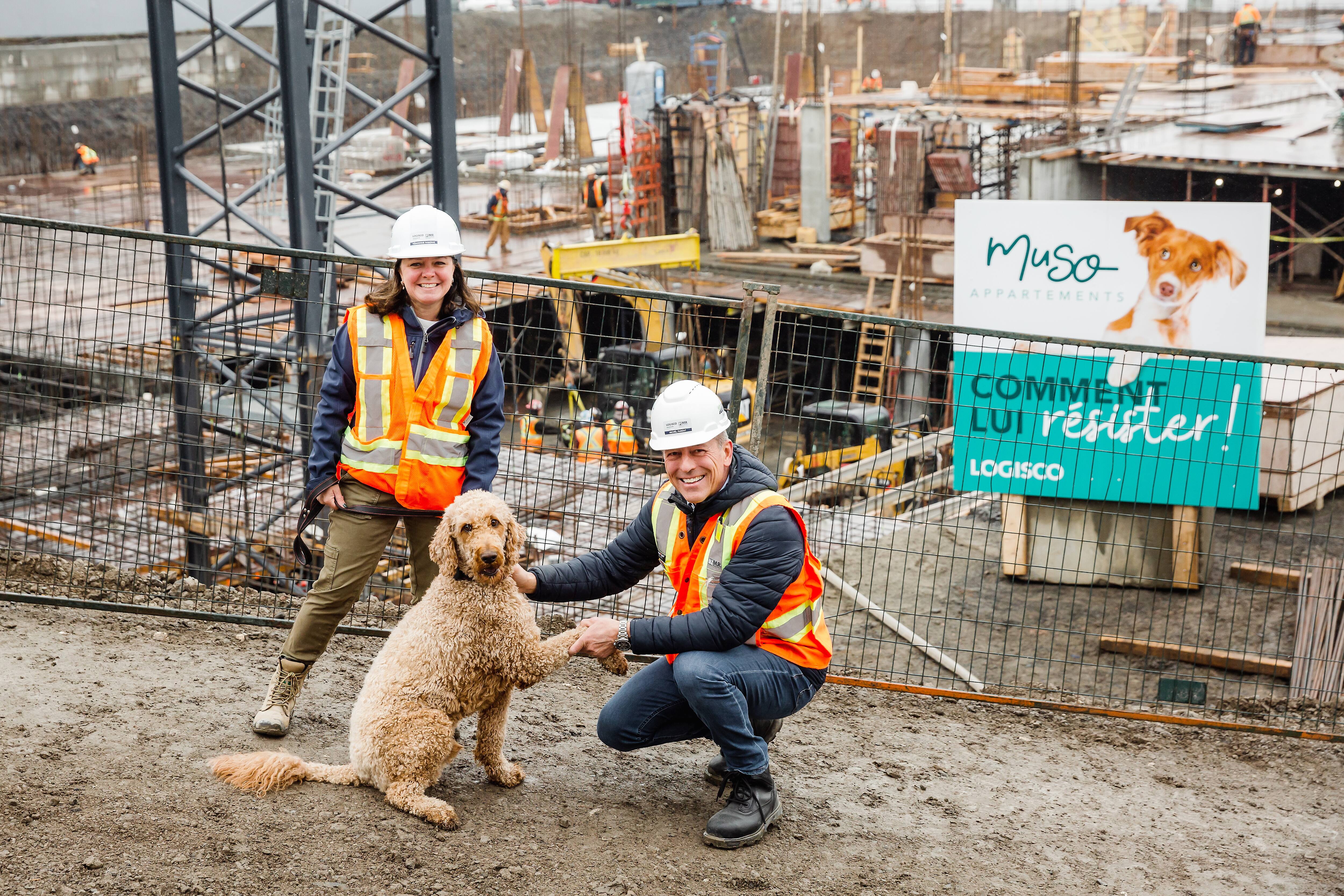 Un immeuble pour les amoureux des chiens verra le jour à Québec | TVA ...