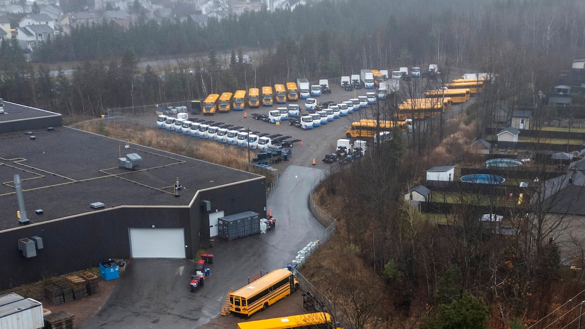 La Fondation Saputo critiquée pour son placement dans Lion