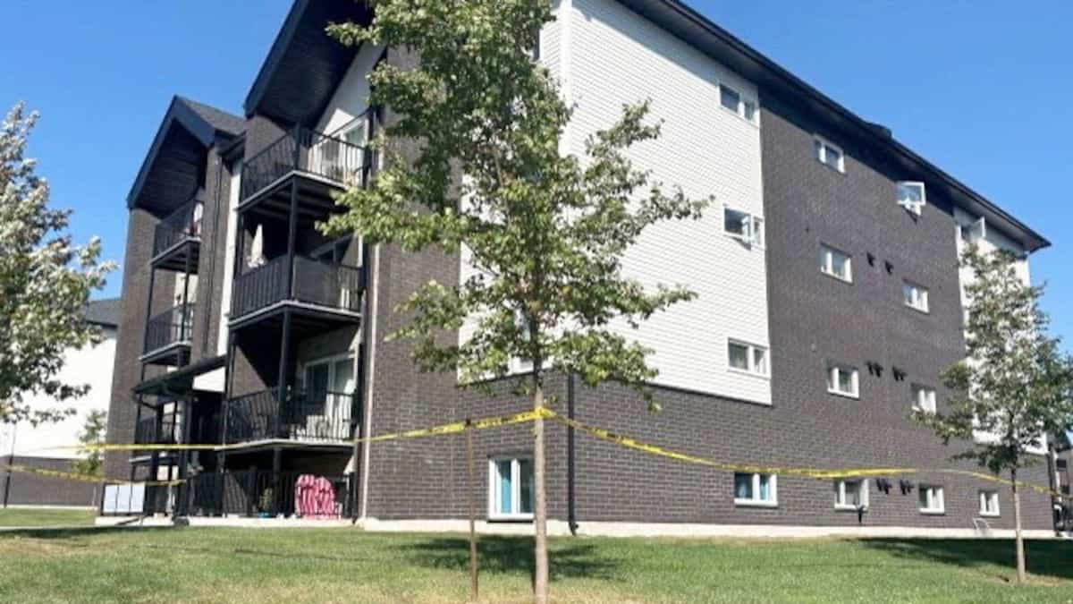 Féminicide À Saint-Jérôme: Le Suspect Accusé 16 Fois Pour Non-respe...