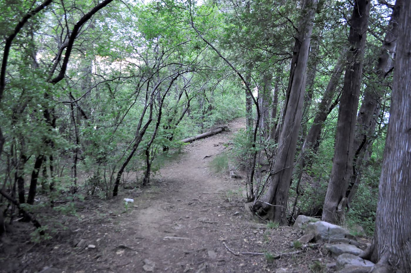 En pleine nature à l’île Bizard | Le Journal de Québec