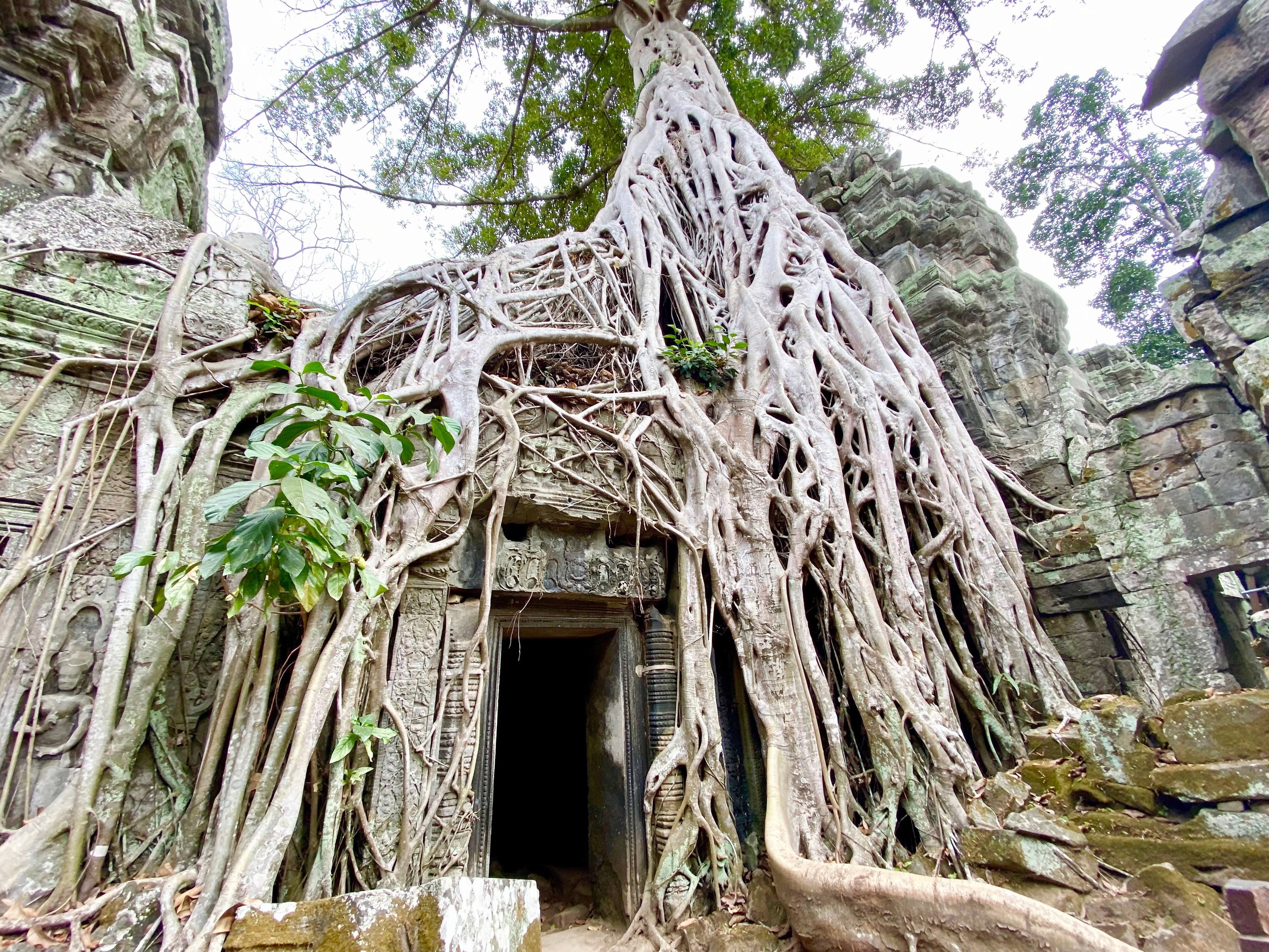 8 activit&eacute;s inusit&eacute;es &agrave; ne pas manquer lors d'un voyage au Cambodge