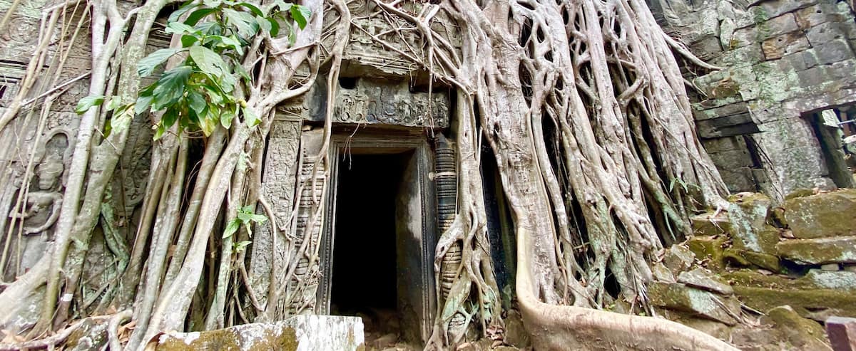 8 activités inusitées à ne pas manquer lors d'un voyage au Cambodge