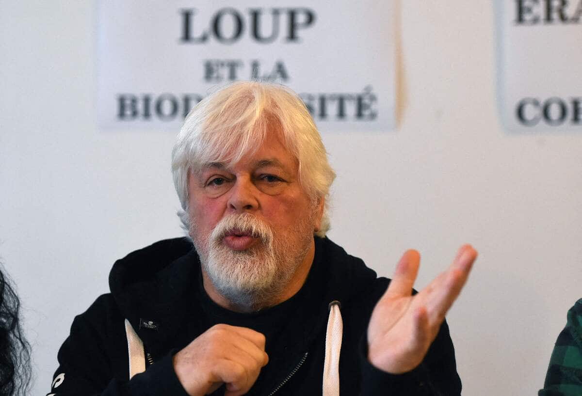 Chasse &agrave; la baleine: le Danemark attend la demande japonaise d'extradition de Paul Watson