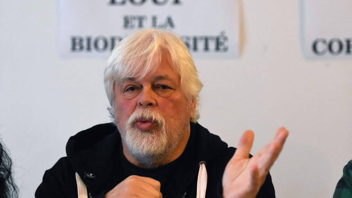 Chasse à la baleine: le Danemark attend la demande japonaise d'extradition de Paul Watson