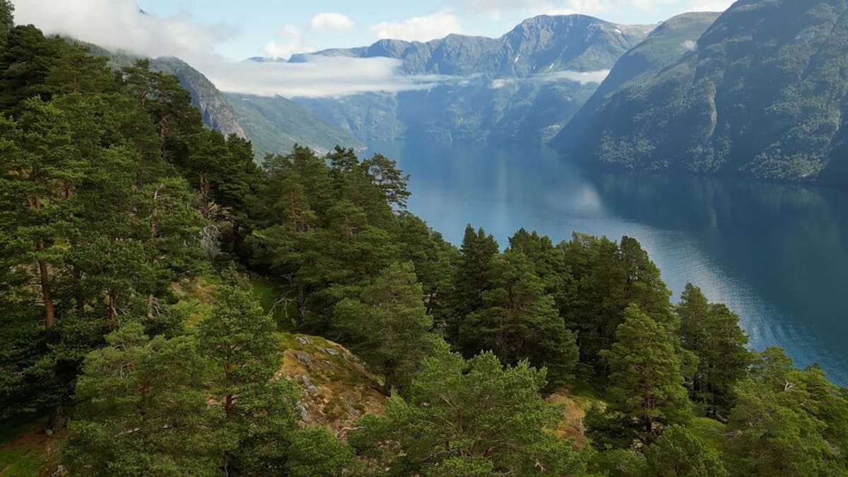 Vagues de 80 mètres? Des Norvégiens sereins face à un tsunami annoncé