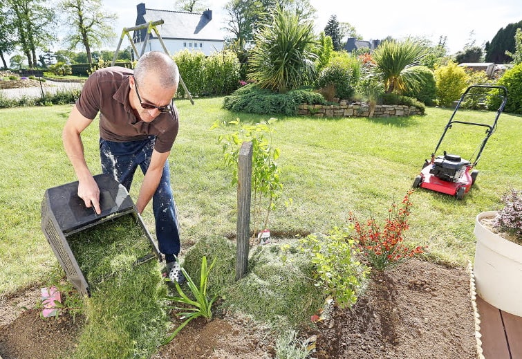 Du gazon en paillis: une bonne id&eacute;e?