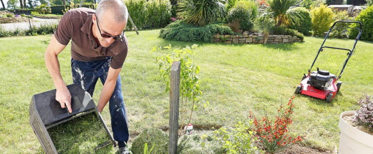 Du gazon en paillis: une bonne idée?