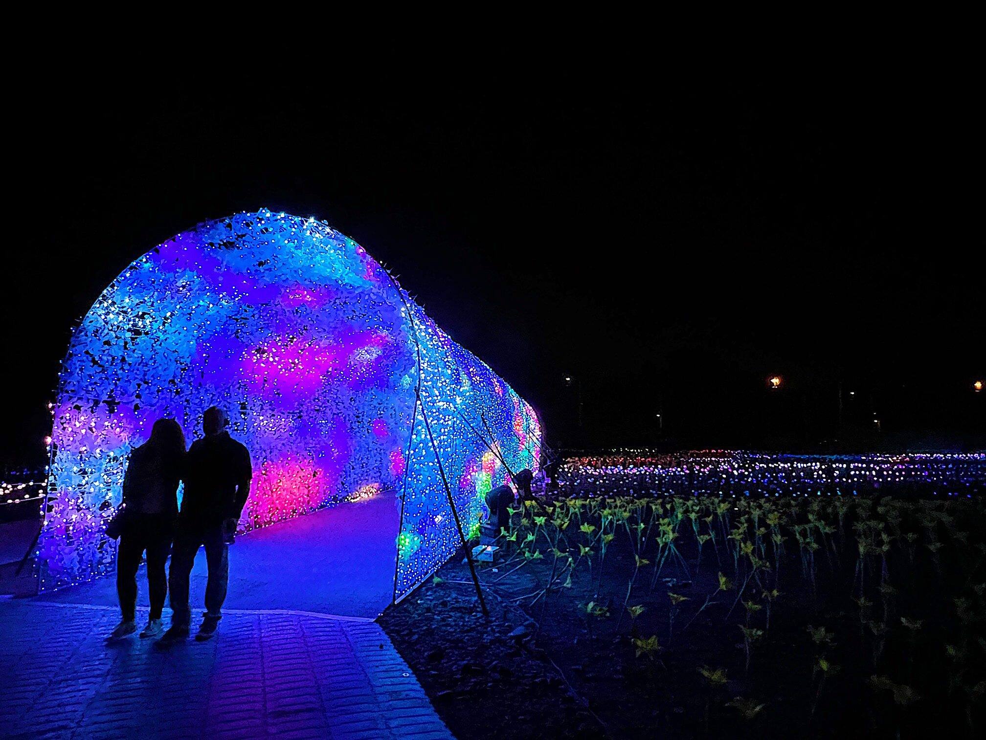 Symphonie des Fleurs de la poésie en lumières à Terrebonne JDM