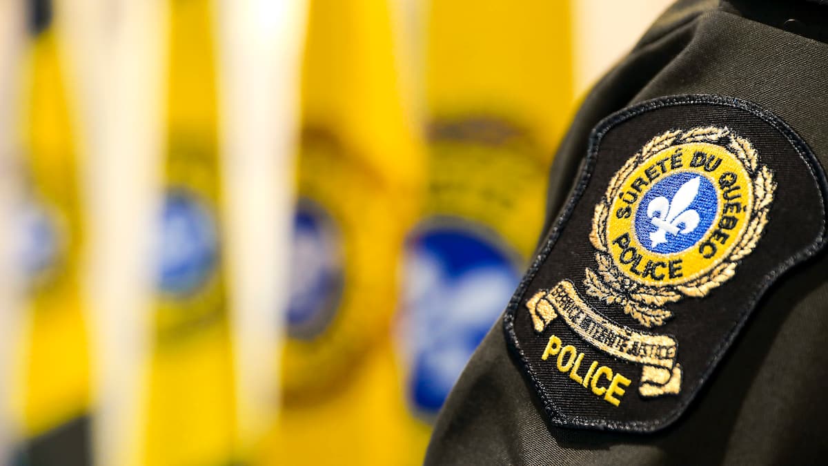 Une femme gravement blessée après une collision avec un orignal