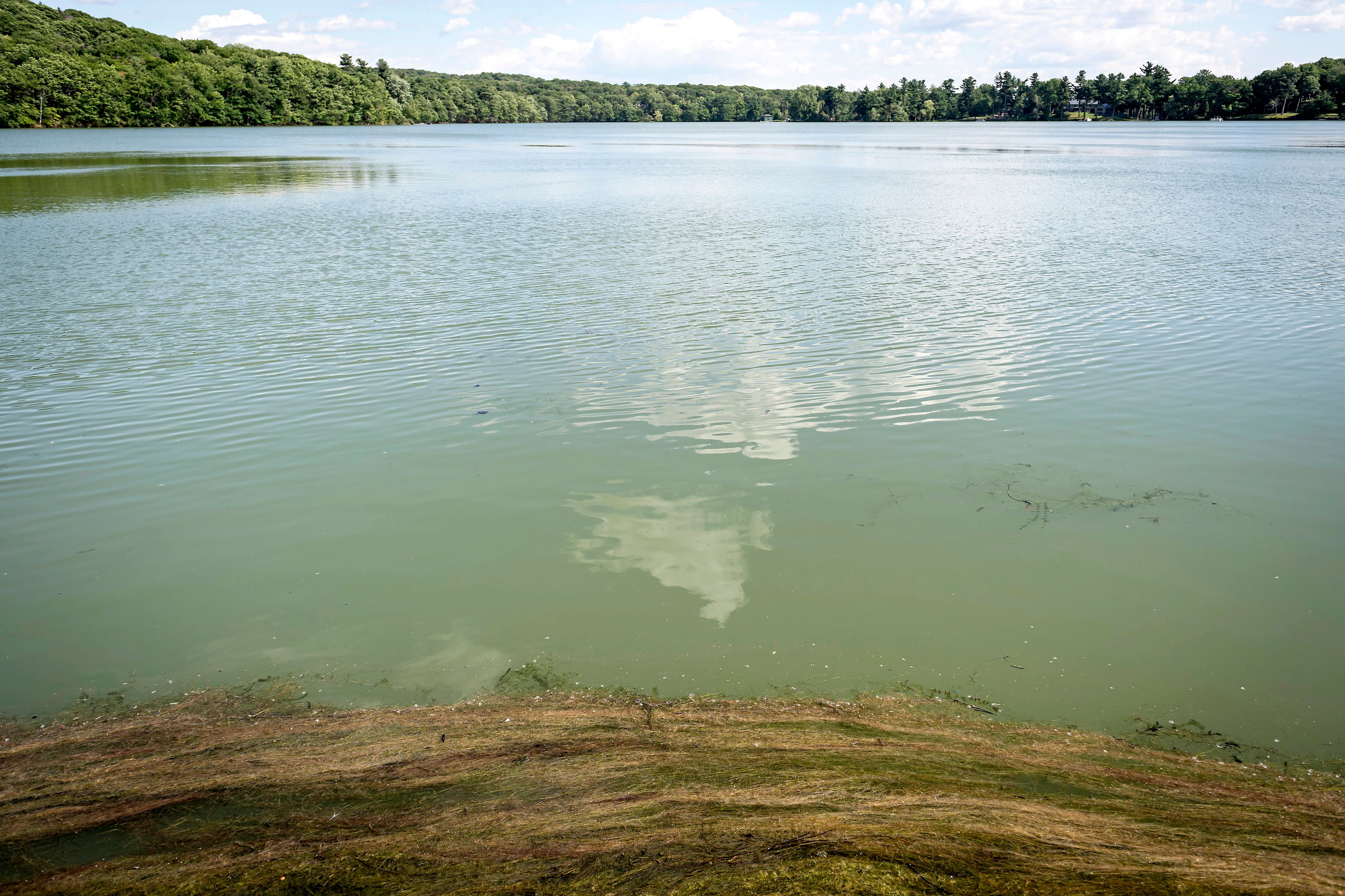 Ces lacs sont parmi les pires (ou les meilleurs) du Québec