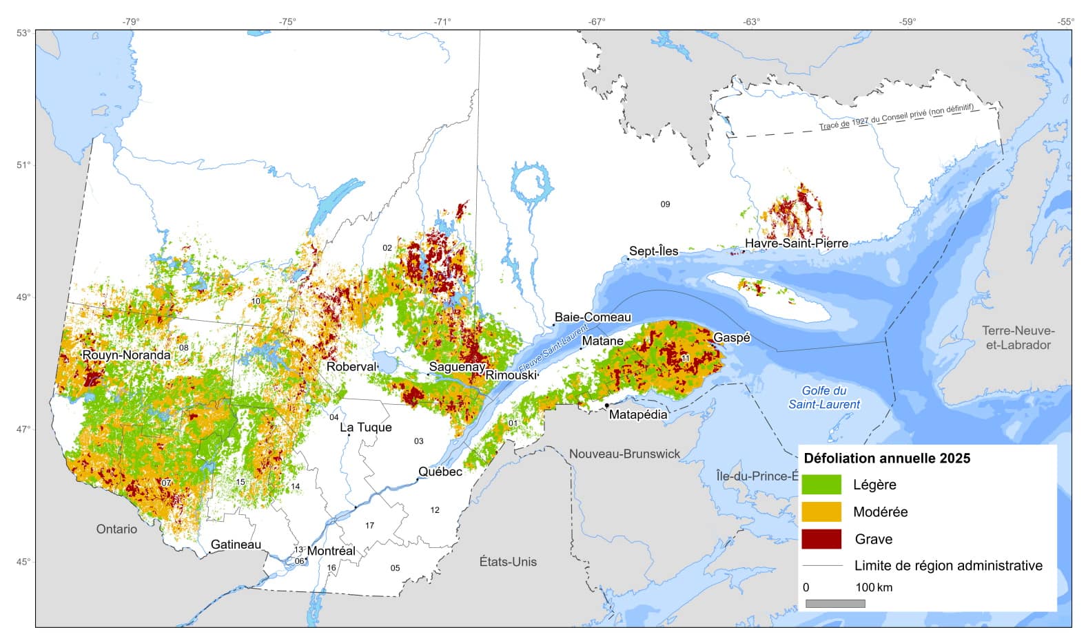 Défoliation causée par la tordeuse des bourgeons de l’épinette au Québec en 2025.