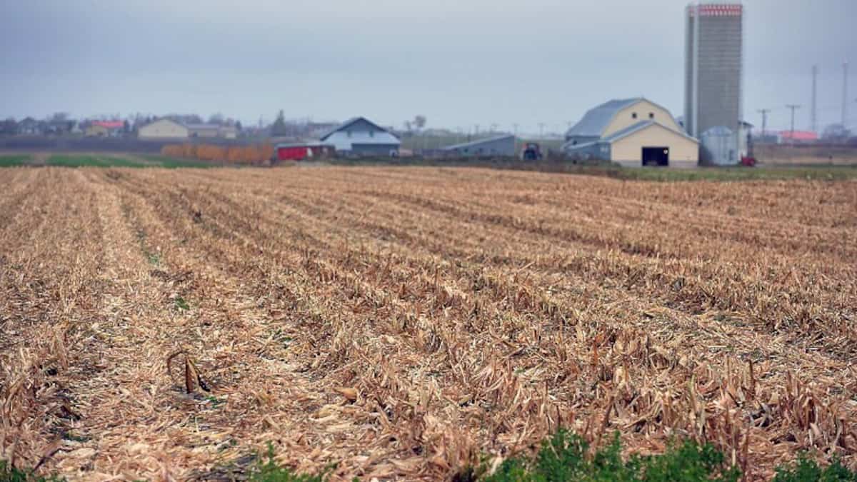 «Il faut se revirer de bord»: les producteurs agricoles touchés par le conflit au Moyen-Orient
