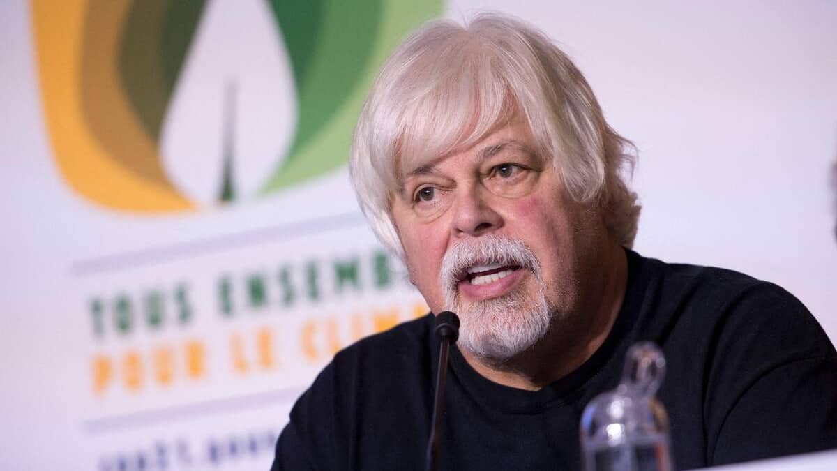 Chasse à la baleine: Paul Watson, recherché par le Japon, arrêté au Groenland