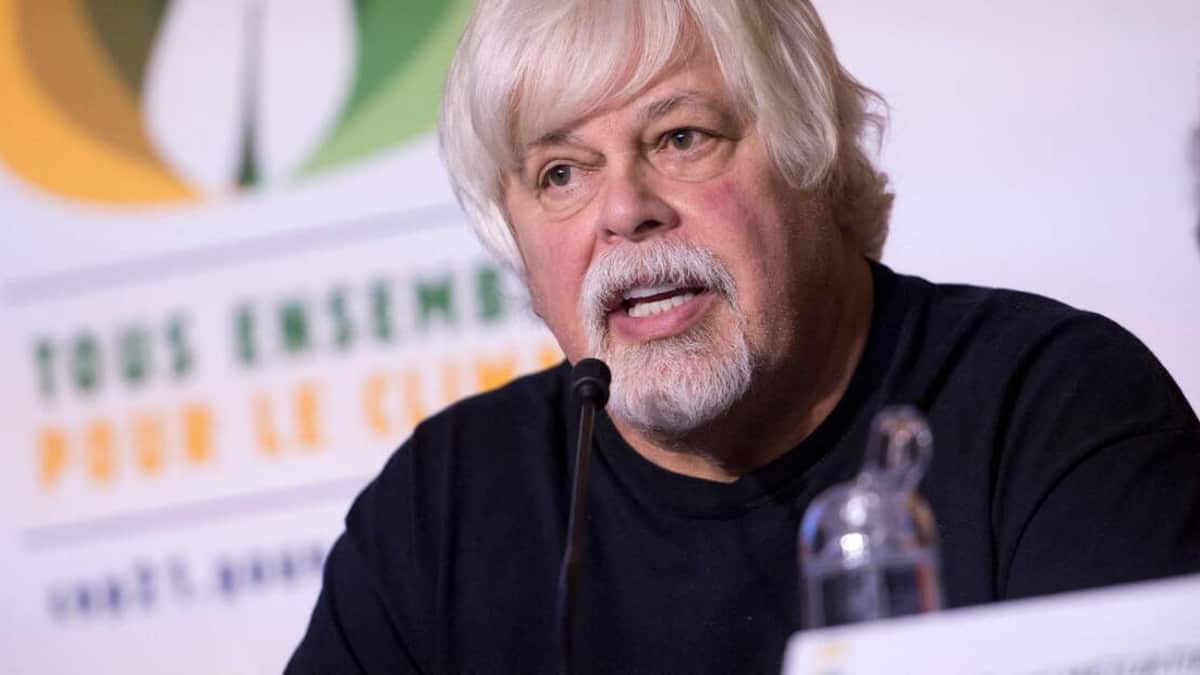 Chasse à la baleine: le Japon demande l’extradition de Paul Watson, détenu au Groenland