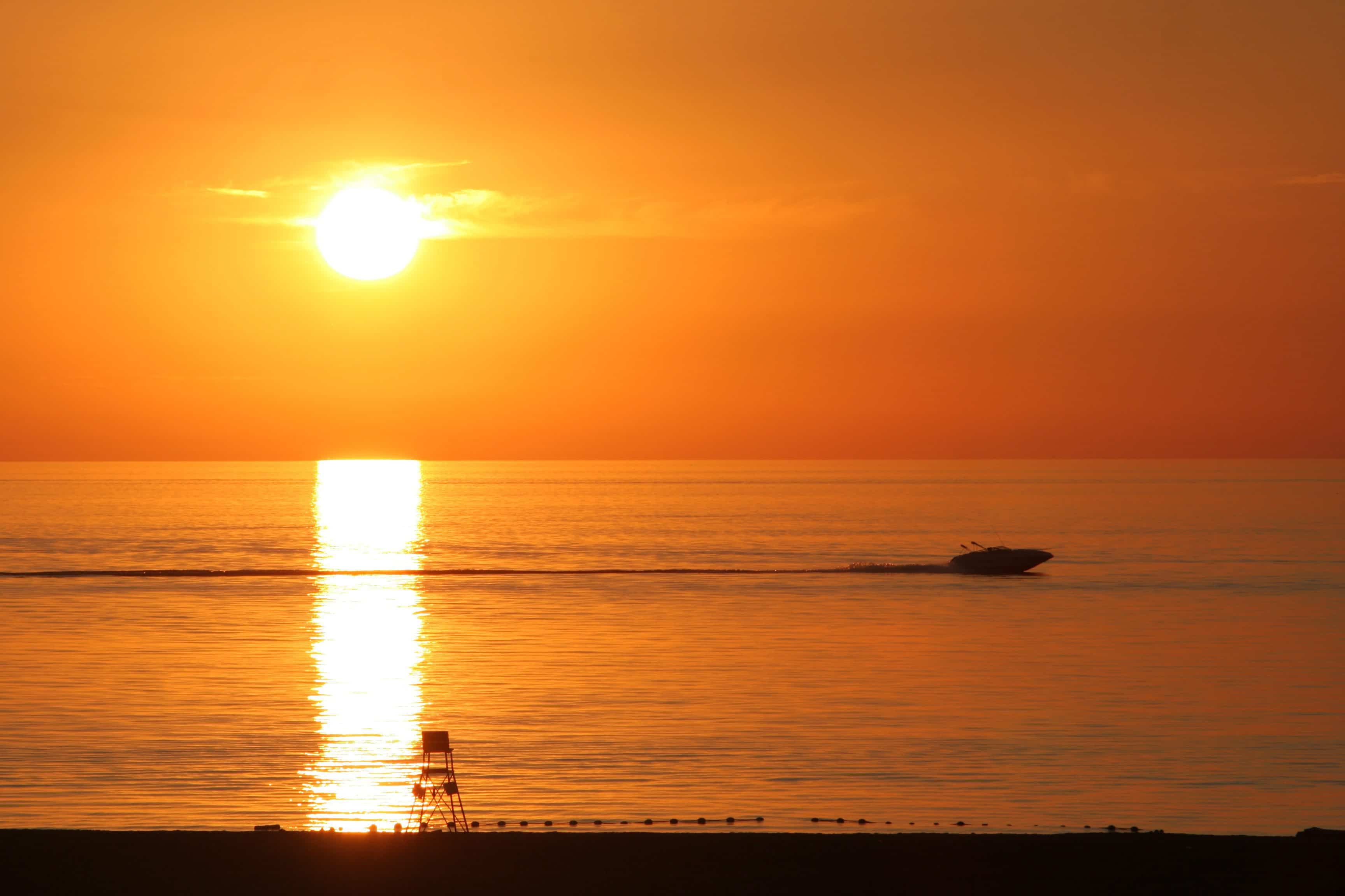 Deux chiens meurent de chaleur dans une voiture