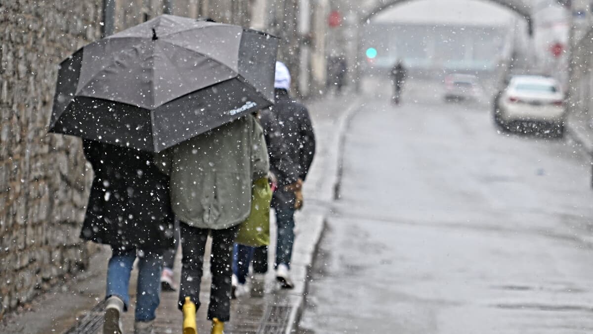 Un printemps précoce à venir en 2025?