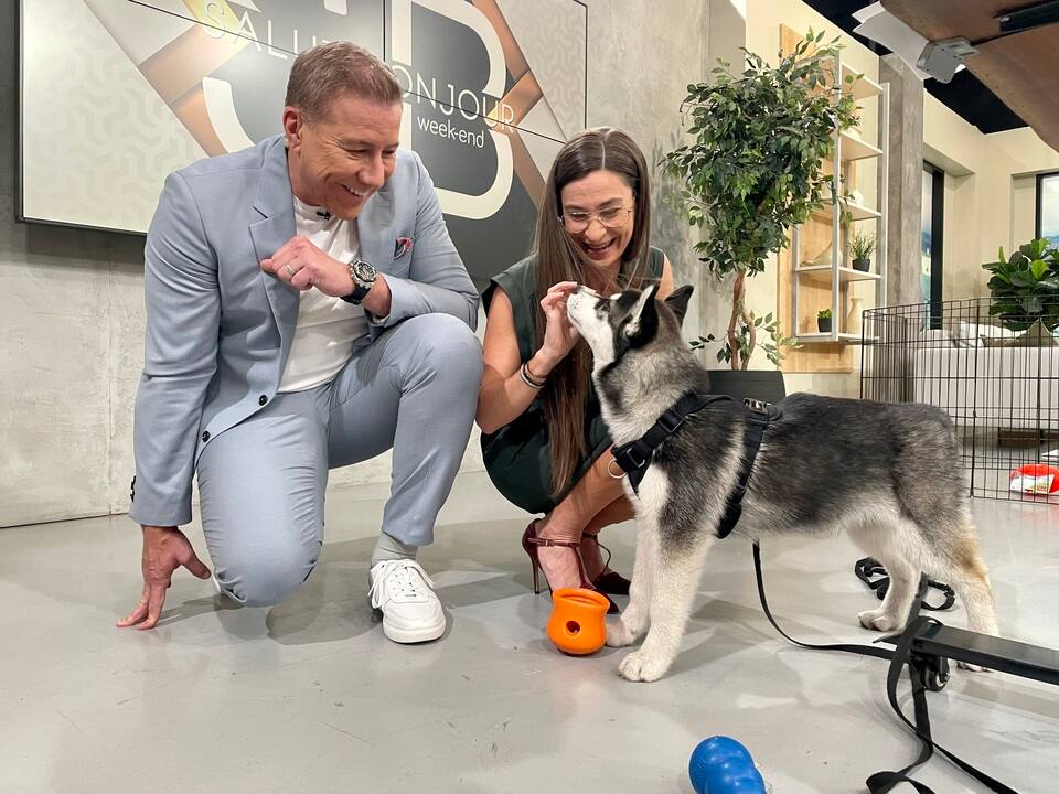  Accessoires indispensables pour un bon départ  