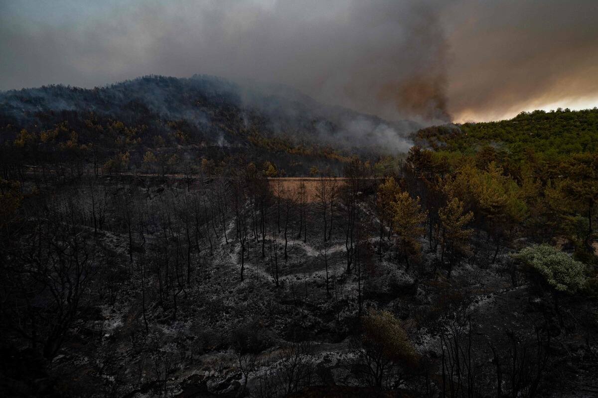 La chaleur en Europe g&eacute;n&egrave;re une pollution &agrave; l'ozone, alerte Copernicus