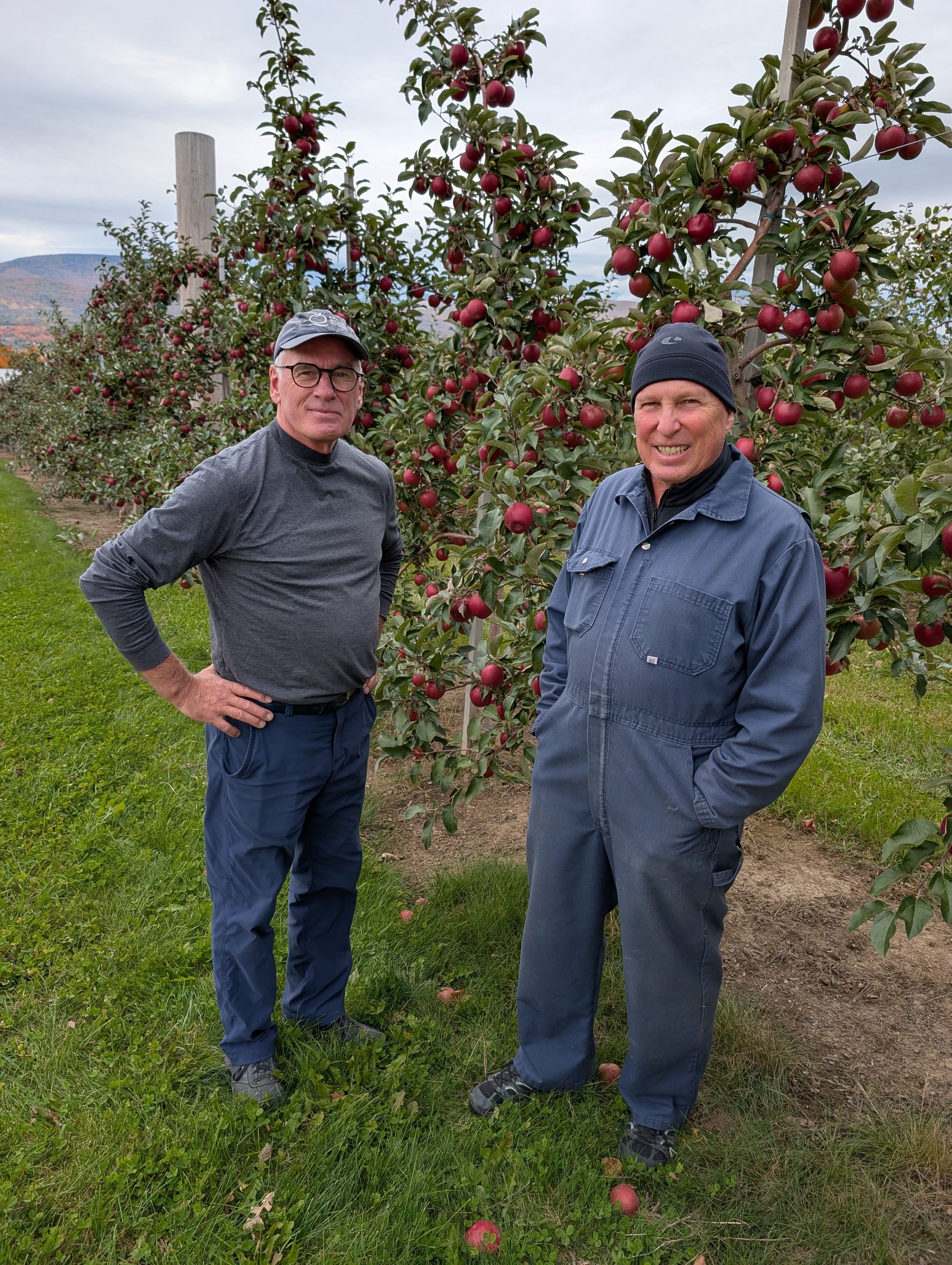 François Turcotte, copropriétaire des Vergers Turcotte à Sainte-Famille-de-l’île-d’Orléans, et l’hybrideur de la pomme Orléans, Serge Mantha, agronome.