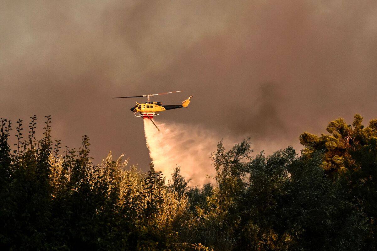 Multiplication des incendies de for&ecirc;t en Gr&egrave;ce, &eacute;vacuation d'une ville historique