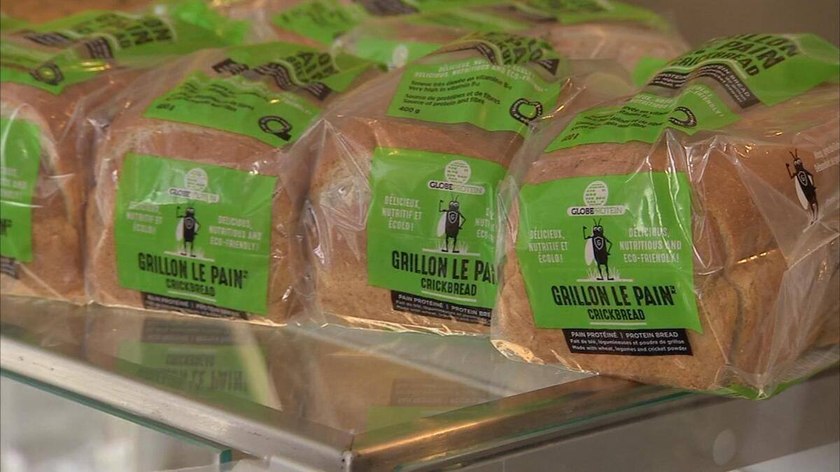 Le Pain Aux Grillons Debarque En Ville Jdm