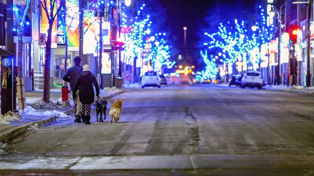 Finalement possible de promener son chien après 22h