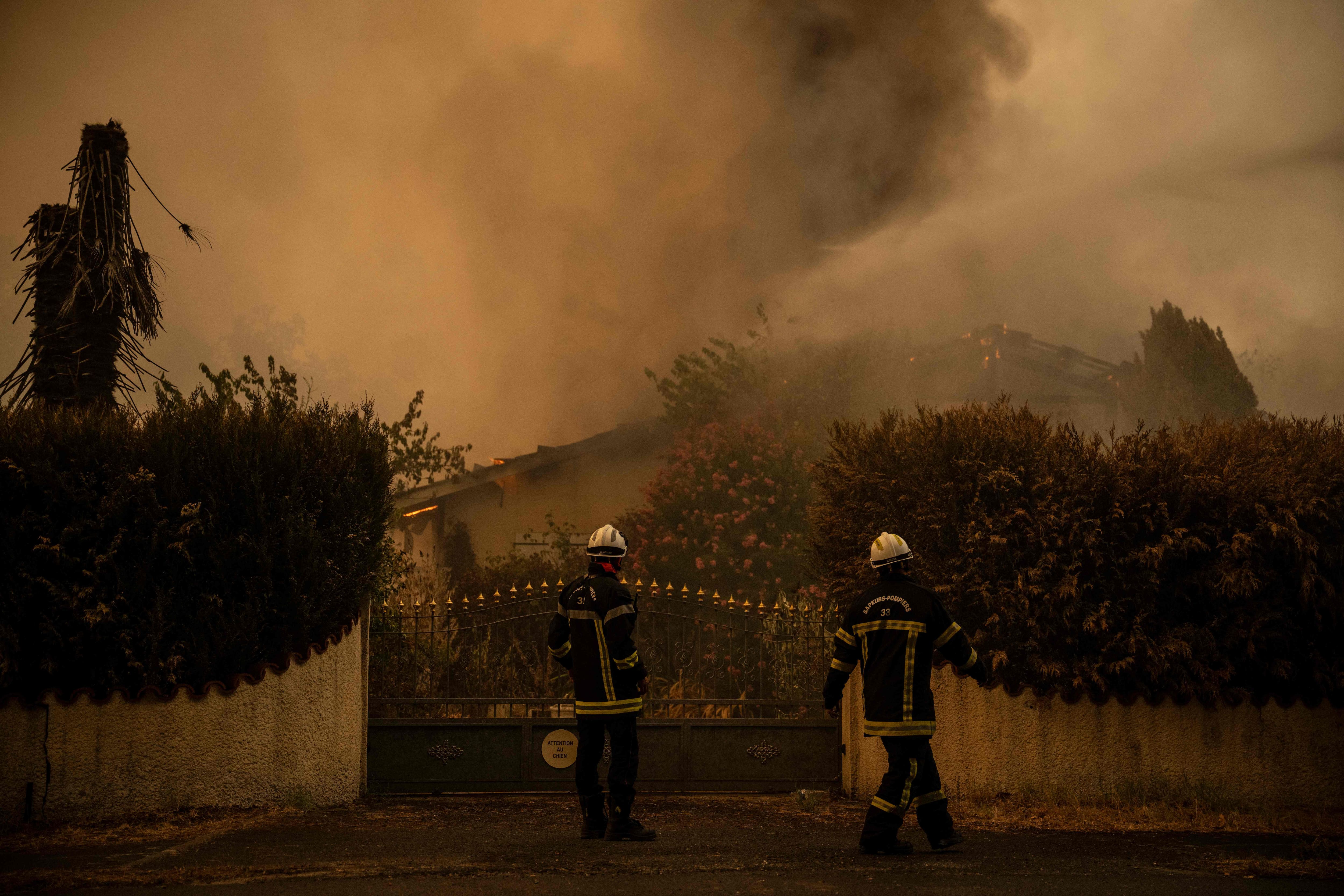 IN PICTURES | “Dramatic” situation in Spain: fires “out of control” around Madrid