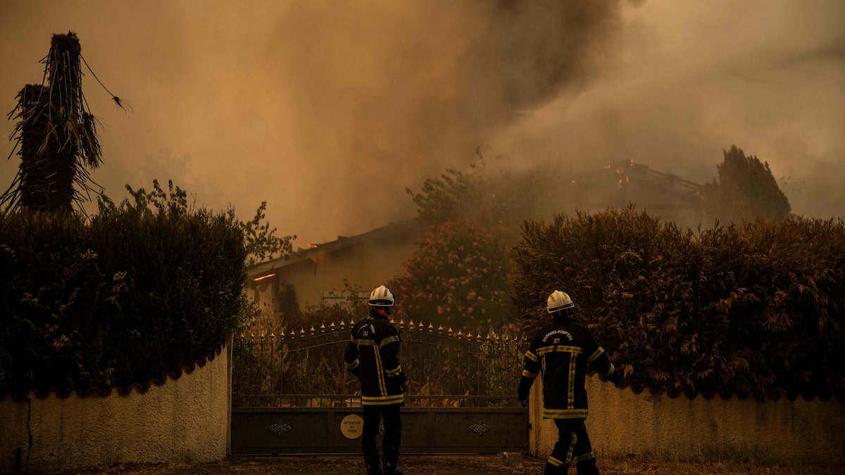 IN PICTURES | “Dramatic” situation in Spain: fires “out of control” around Madrid IN PICTURES | “Dramatic” situation in Spain: fires “out of control” around Madrid