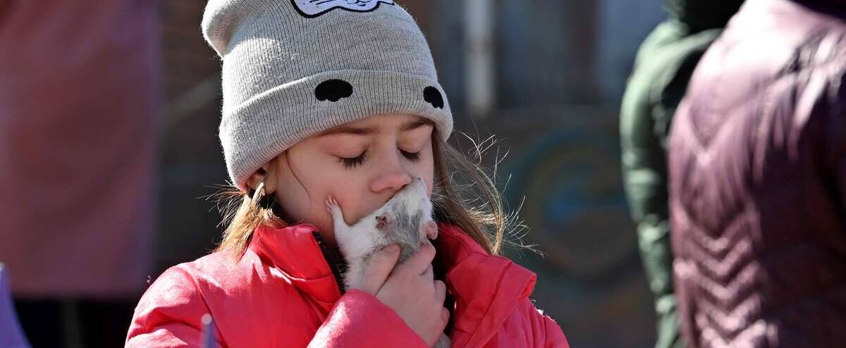 Ukraine: le Programme alimentaire mondial lutte pour acheminer l’aide