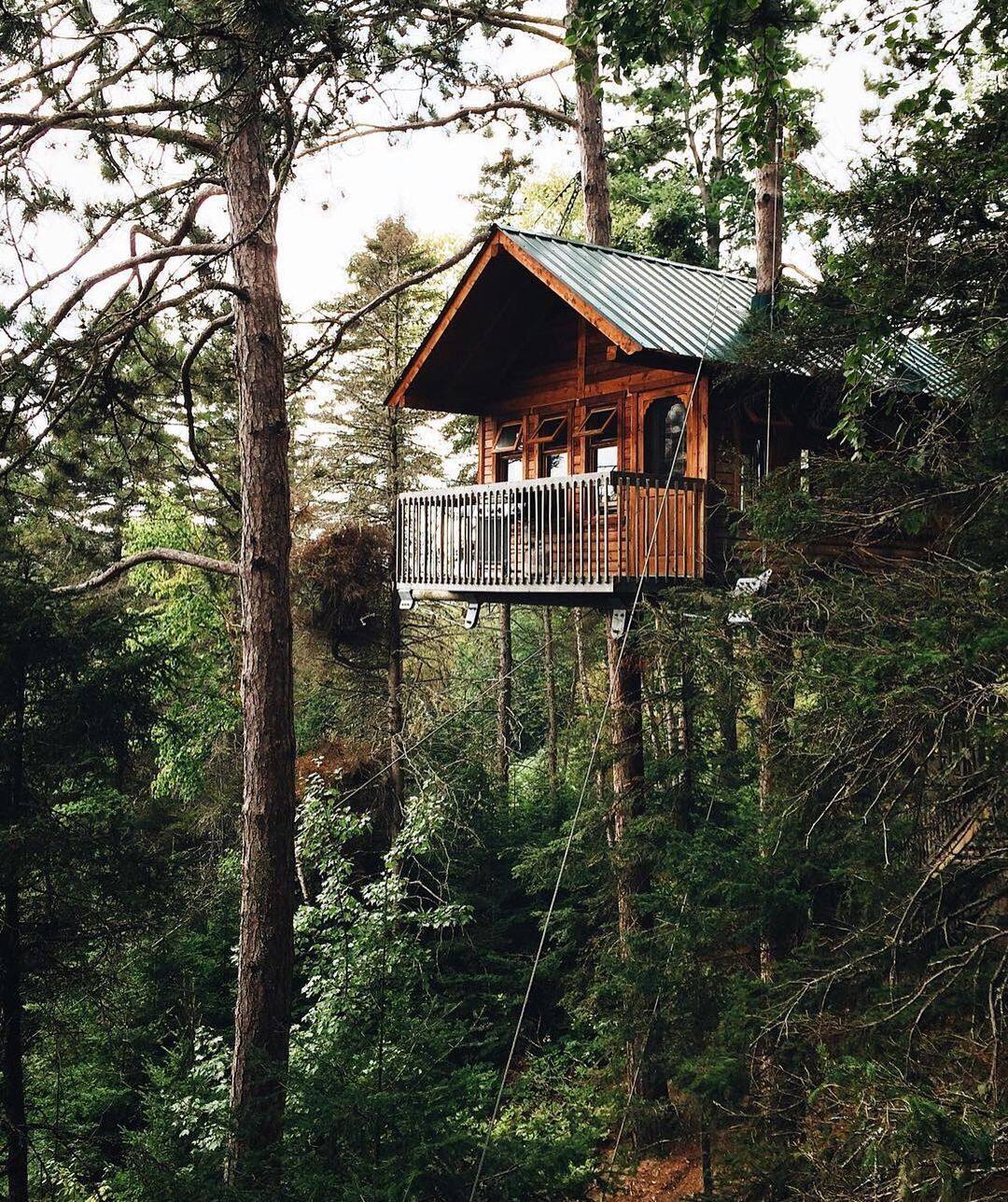 71920557_2617457995169950_47762030622078