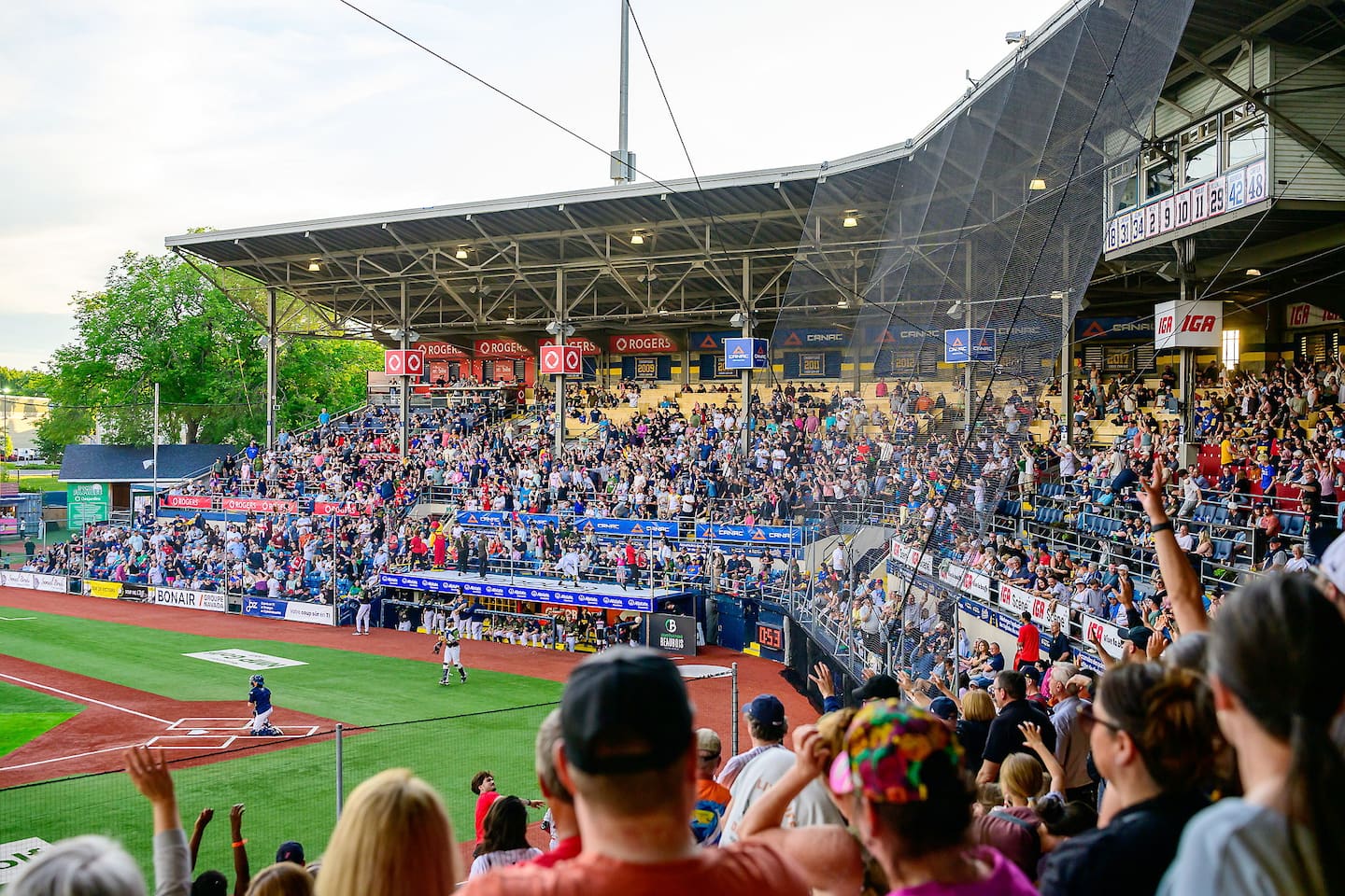 Les Capitales de Québec aussi populaires que le CF Montréal