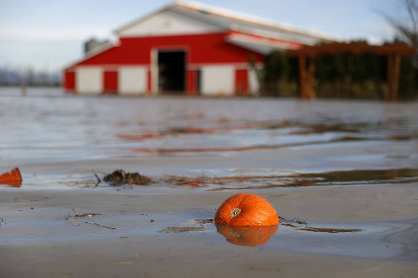 Inondations en Colombie-Britannique: le fédéral verse 4,1 M$ pour aider la chaîne d’approvisionnement Inondations en Colombie-Britannique: le fédéral verse 4,1 M$ pour aider la chaîne d’approvisionnement
