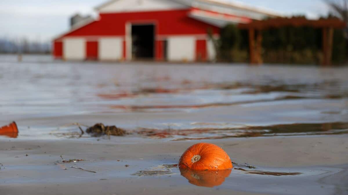 Inondations en Colombie-Britannique: l’intervention de l’armée est terminée