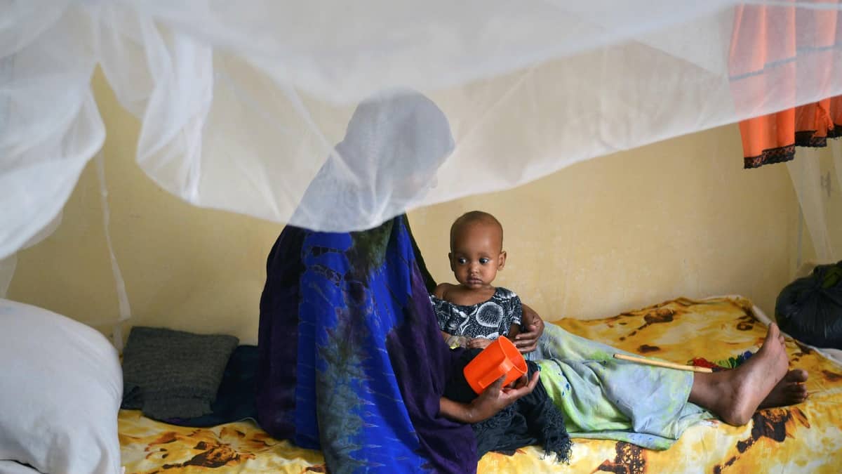 Le monde est «comme un somnambule» face au risque de famine en Somalie