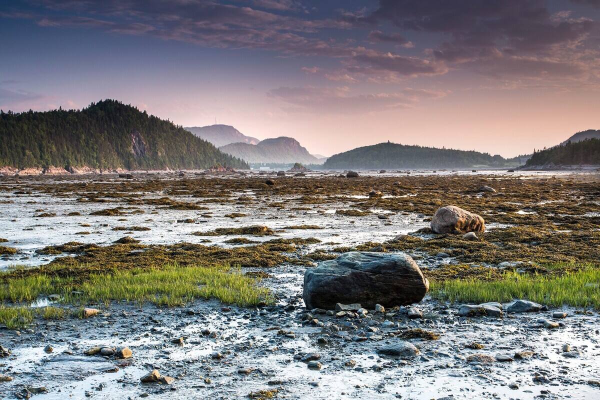 Cinq Incontournables Pour Une Belle Tournee Dans Le Bas Saint Laurent Tva Nouvelles