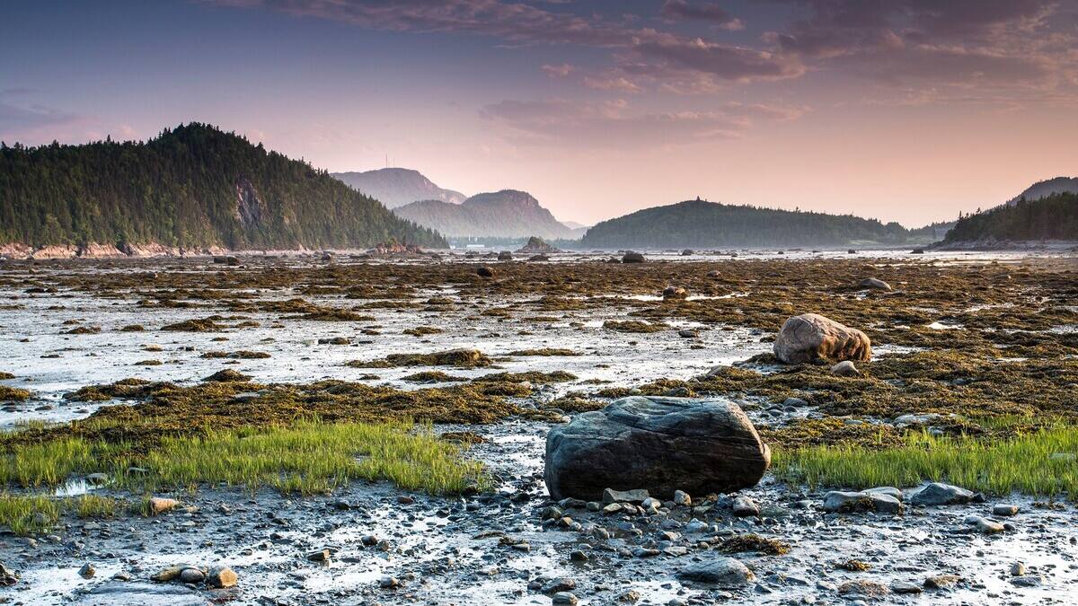 Cinq Incontournables Pour Une Belle Tournee Dans Le Bas Saint Laurent Tva Nouvelles Cinq Incontournables Pour Une Belle Tournee Dans Le Bas Saint Laurent Tva Nouvelles