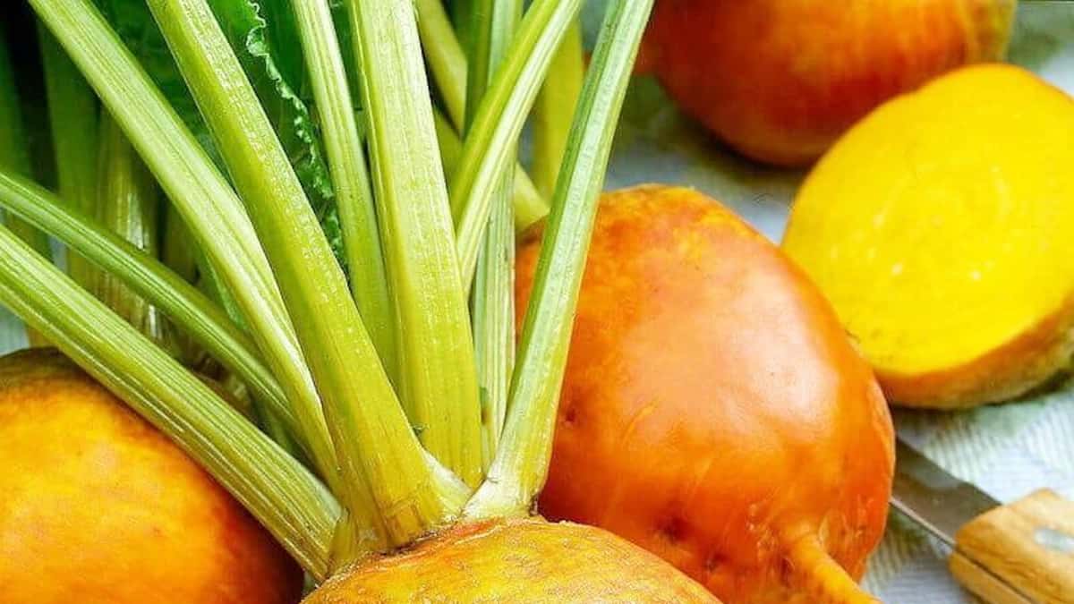 Plantez un potager comme dans le temps de nos grand-mères: voici quels légumes ancestraux cultiver pour avoir un jardin «d’antan»