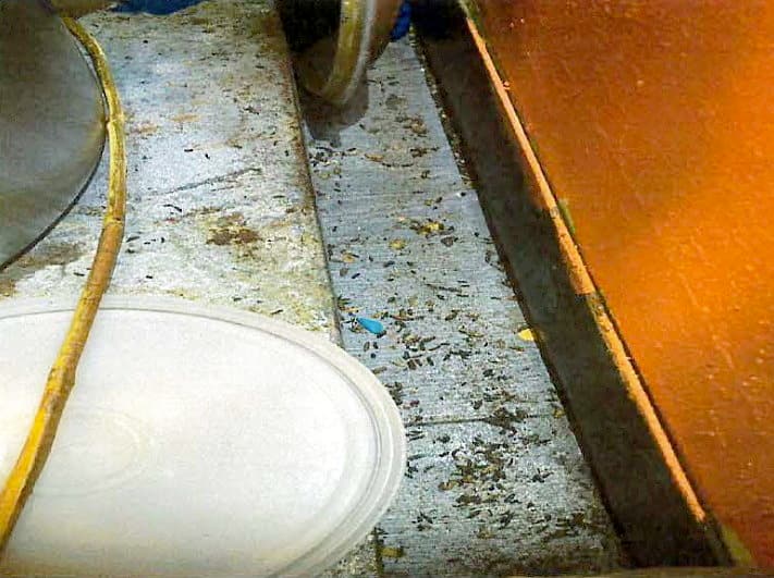 Grillades de souris chez Steeve