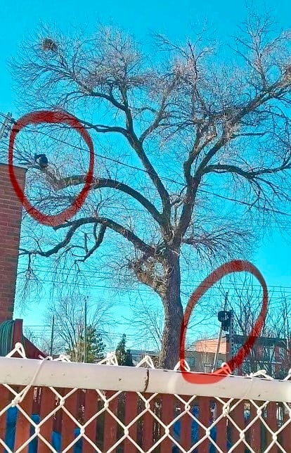 Condamn&eacute; &agrave; verser pr&egrave;s de 10 000$: il admet avoir espionn&eacute; ses voisins pendant deux ans