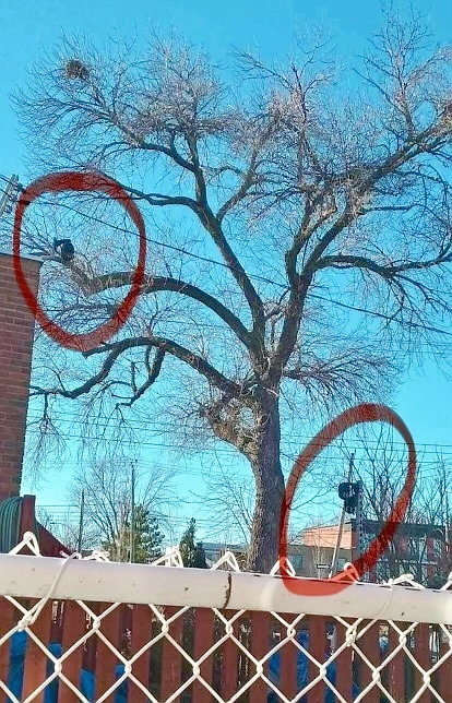 Condamné à verser près de 10 000$: il admet avoir espionné ses voisins pendant deux ans