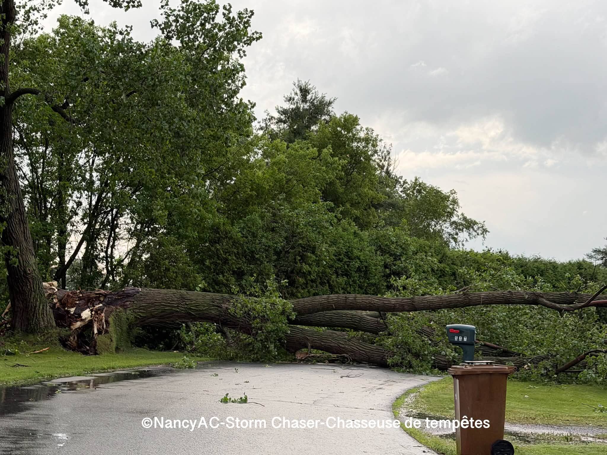 Les orages ont causé bien des dégâts à Saint-Dominique, en Montérégie, le 2 juillet 2026.