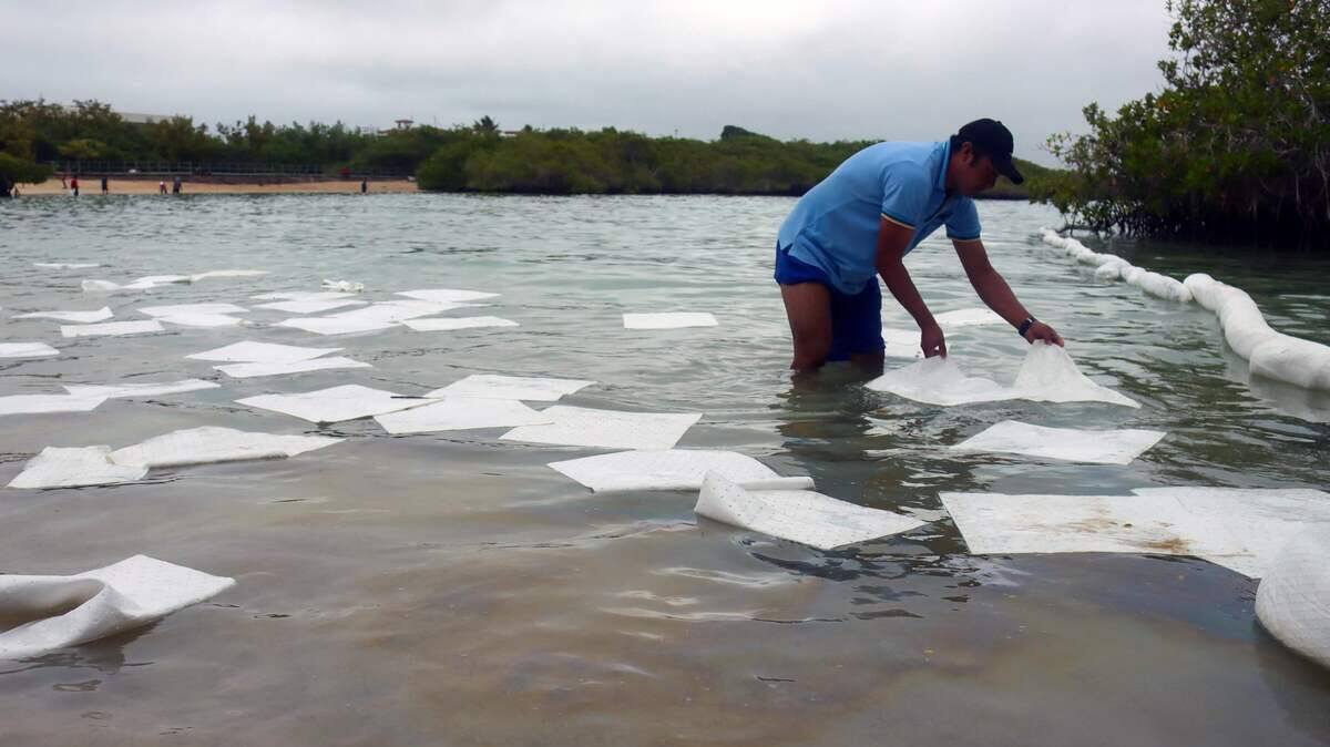 Naufrage d'un bateau aux Galapagos: pas de dégât significatif, selon le Parc