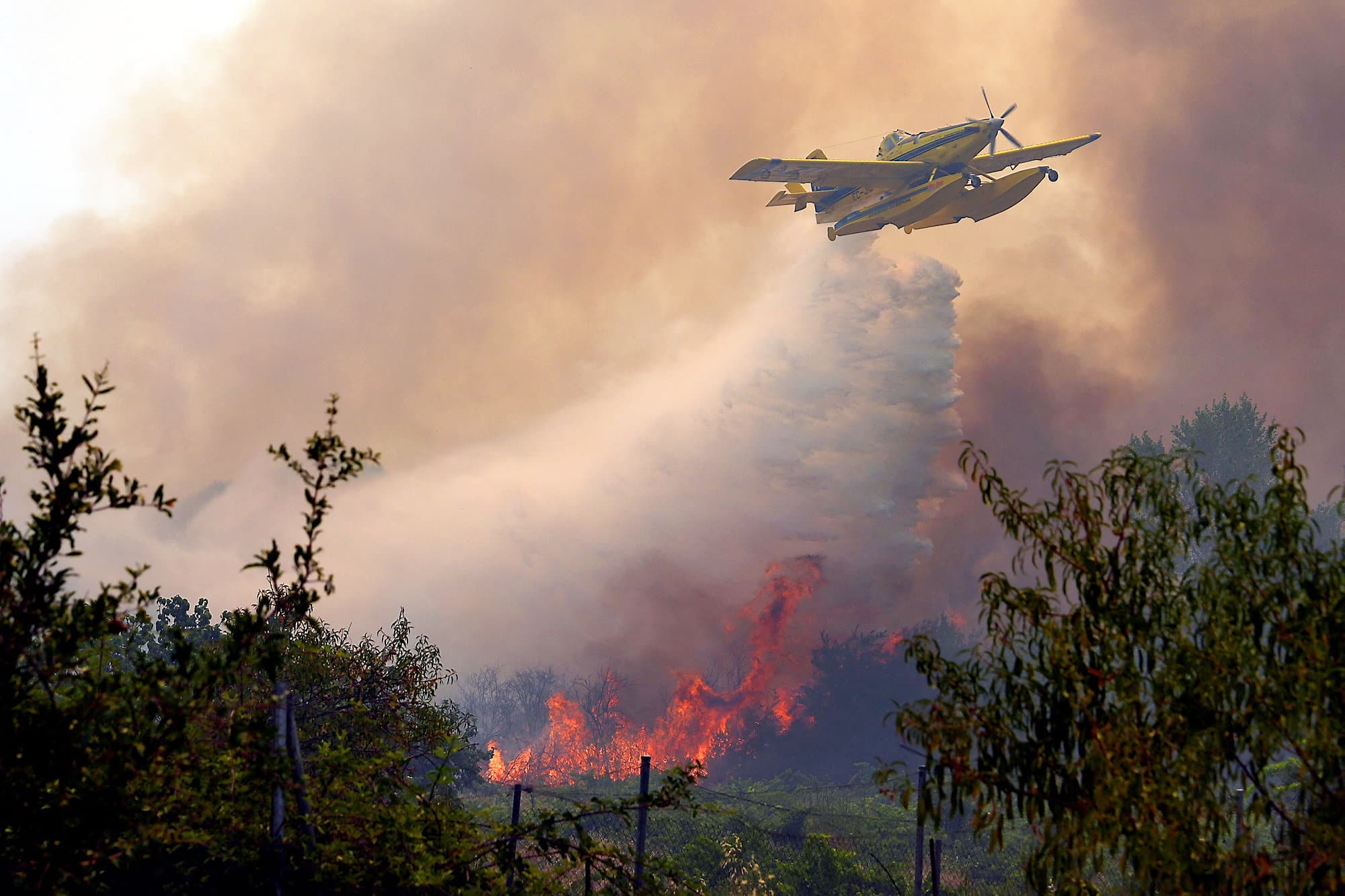 “Still impressive”: Quebecers in Spain affected by forest fires