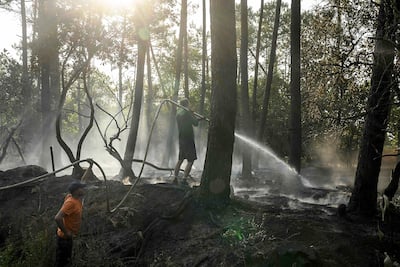 Volunteer firefighters spray water into a roadside wooded area near Le Porge, southwest France, July 27, 2026 as a forest fire rages in Gironde.