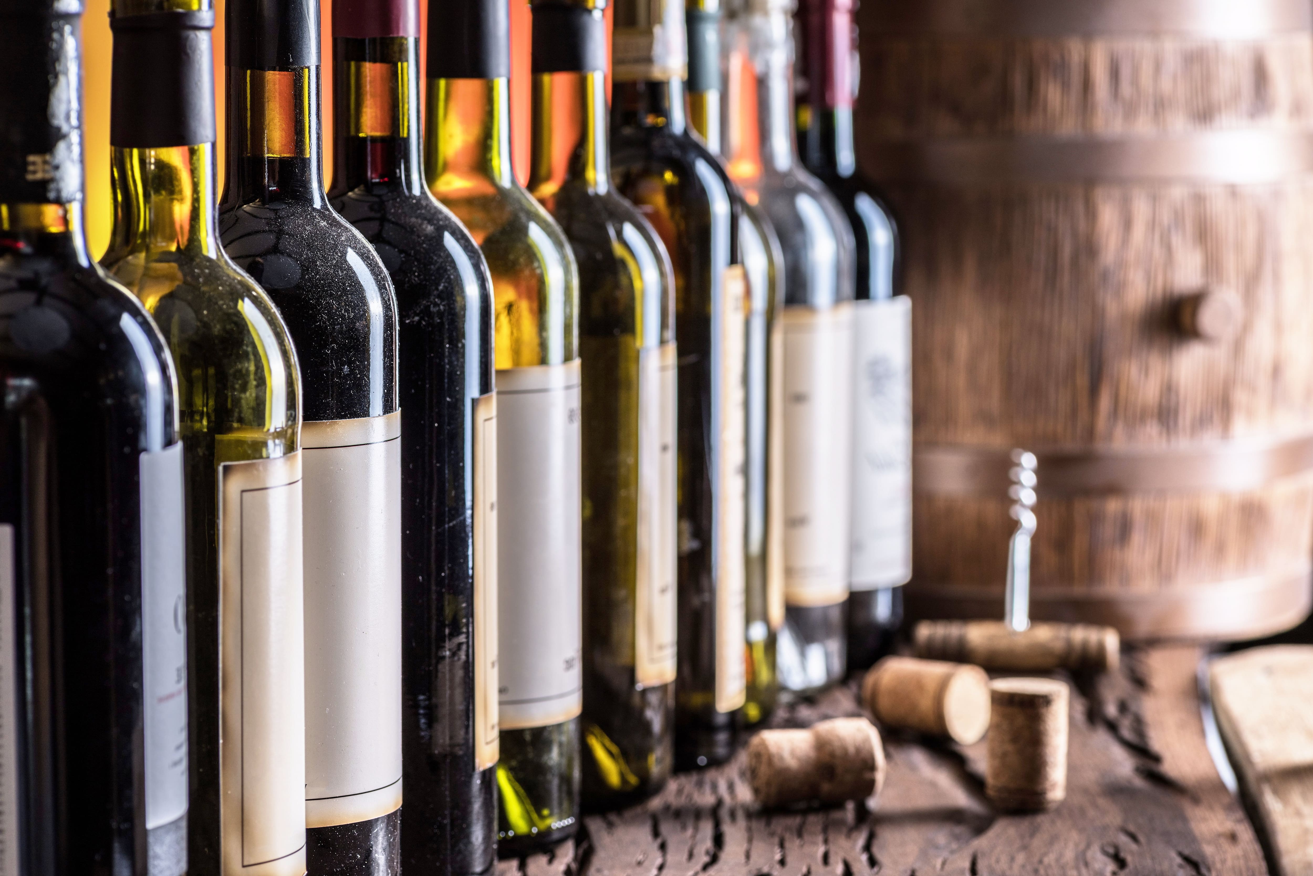 «Les gens sont agréablement surpris 9 fois sur 10 lorsqu’ils en boivent» : les producteurs de vin québécois à la conquête des indécis