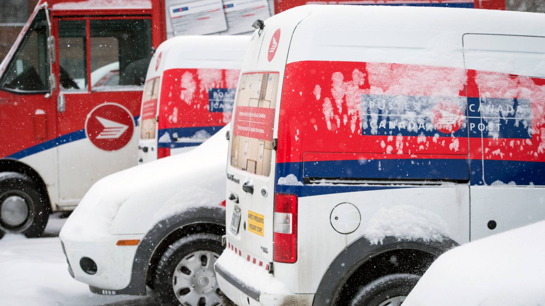 https://m1.quebecormedia.com/emp/emp/75ea3190_f06e_11e6_bc93_41a6103f13767cd30449-80ea-4a31-958d-23af57a29d09_ORIGINAL.jpg?impolicy=crop-resize&x=0&y=79&w=1200&h=675&width=1880 https://m1.quebecormedia.com/emp/emp/75ea3190_f06e_11e6_bc93_41a6103f13767cd30449-80ea-4a31-958d-23af57a29d09_ORIGINAL.jpg?impolicy=crop-resize&x=0&y=79&w=1200&h=675&width=1880