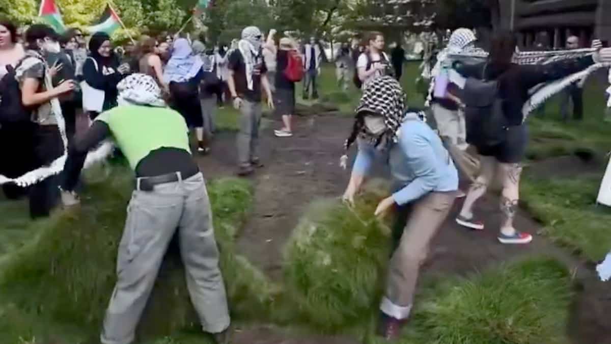 Manifestation à McGill: le vandalisme ne fait avancer aucune cause | JDM