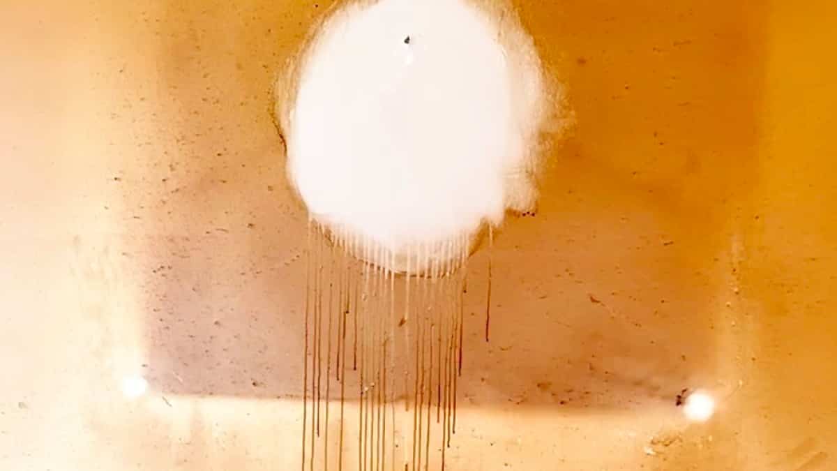 Maison qui empeste la fume de cigarette: un problme craser avec prcaution | JDM Maison qui empeste la fume de cigarette: un problme craser avec prcaution | JDM