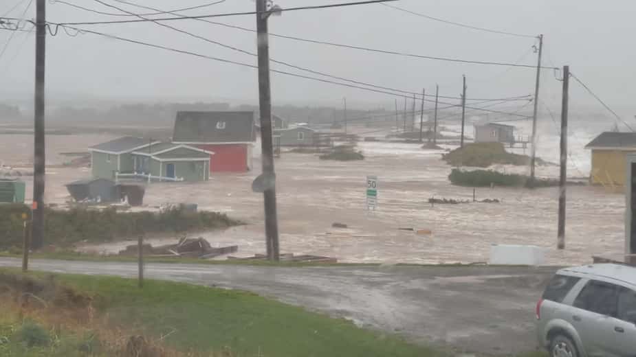Image principale de l'article «Le paysage a complètement changé en un ouragan»