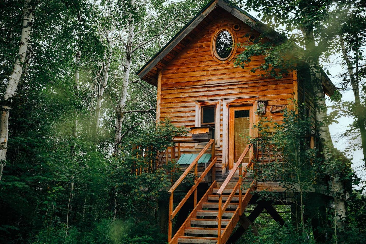 Une cabane perchée avec vue sur le fjord à louer 